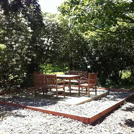 게스트하우스 Ashton House