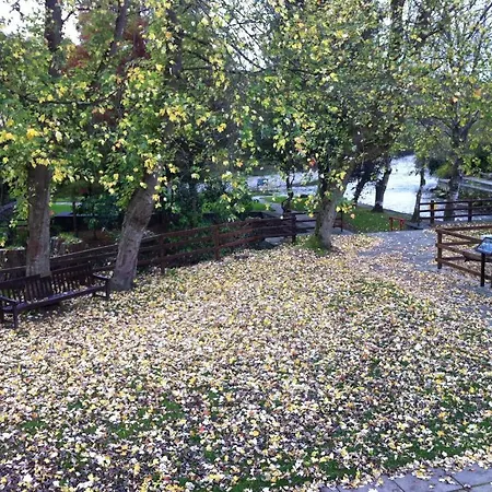 Vendégház Ashton House Avoca