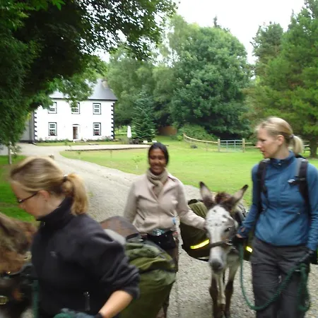 Ashton House Vendégház Avoca