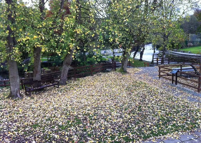 Gæstehus Ashton House Avoca