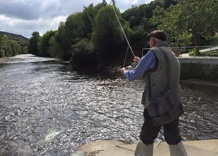 Ashton House Gæstehus