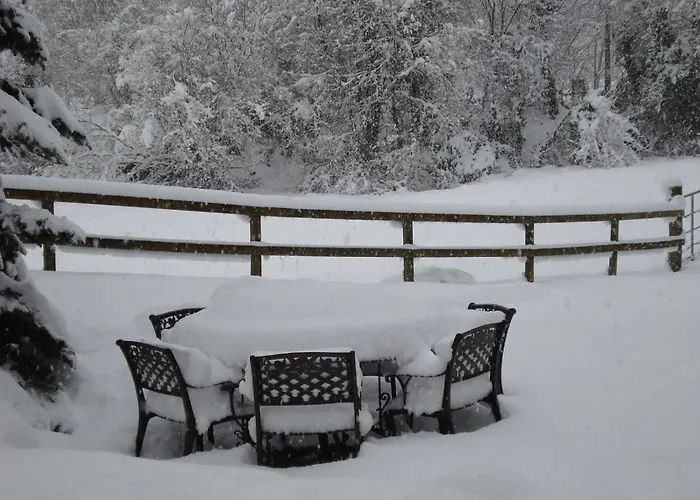 Gæstehus Ashton House