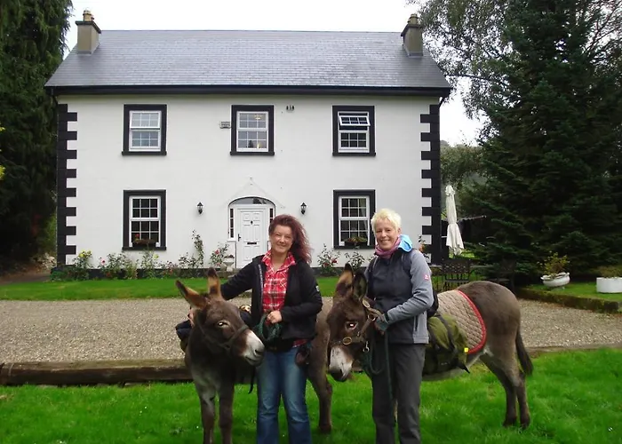 Gæstehus Ashton House 4*