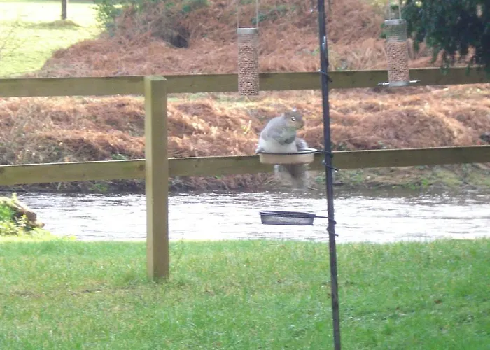 Ashton House Gæstehus 4*