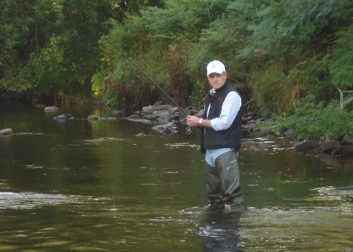 Gæstehus Ashton House Avoca