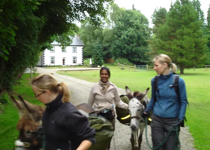 Ashton House Gæstehus Avoca